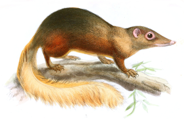 Python for Data Analysis